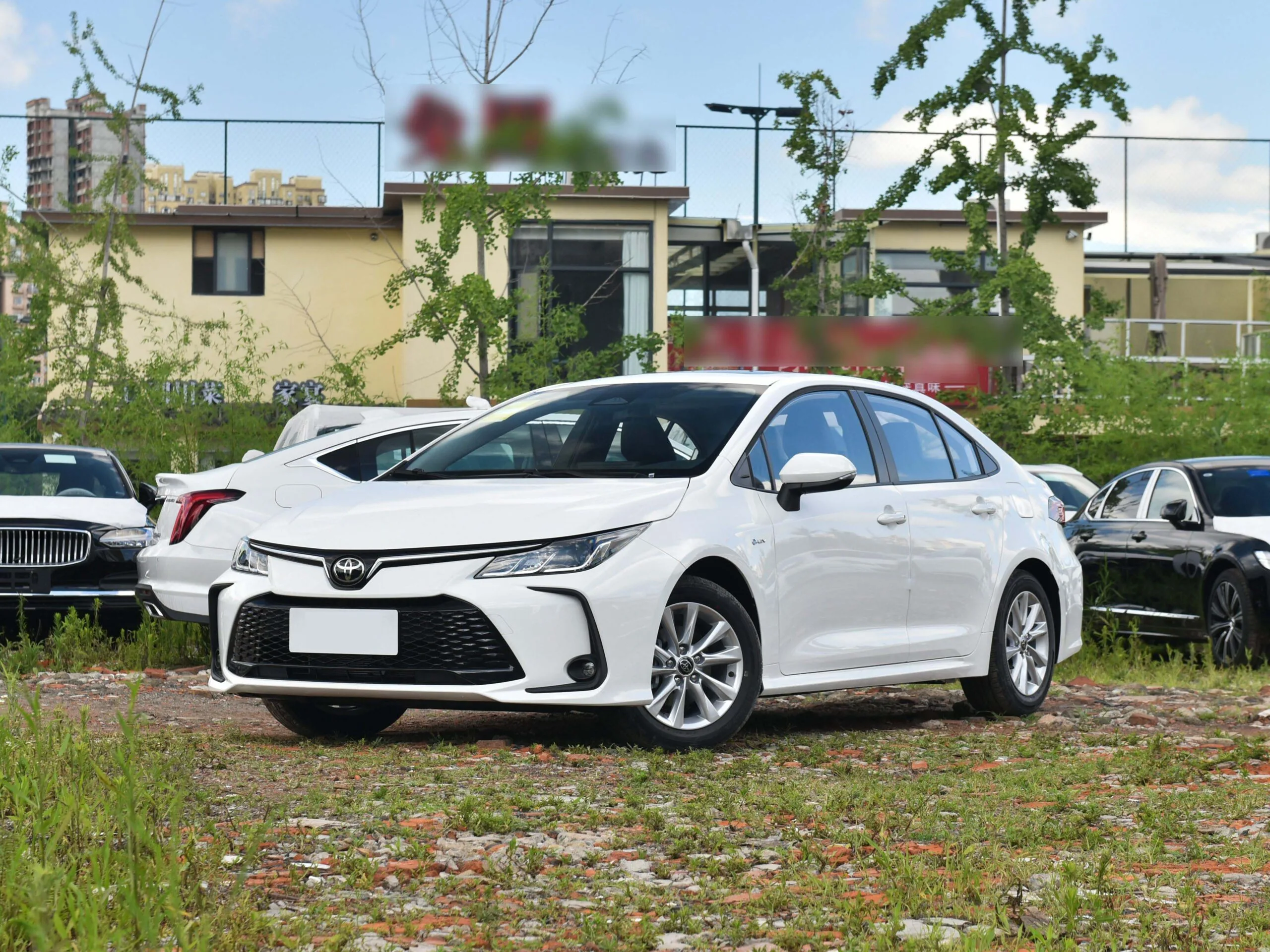 Toyota Corolla (2022)